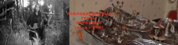 дмт Лабытнанги