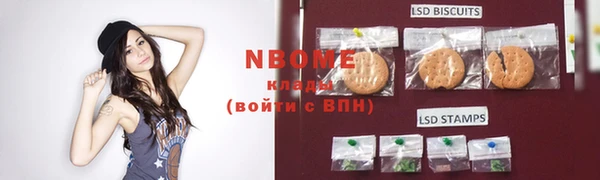 дмт Лабытнанги