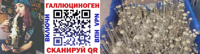 маркетплейс состав  Октябрьск  Псилоцибиновые грибы GOLDEN TEACHER 